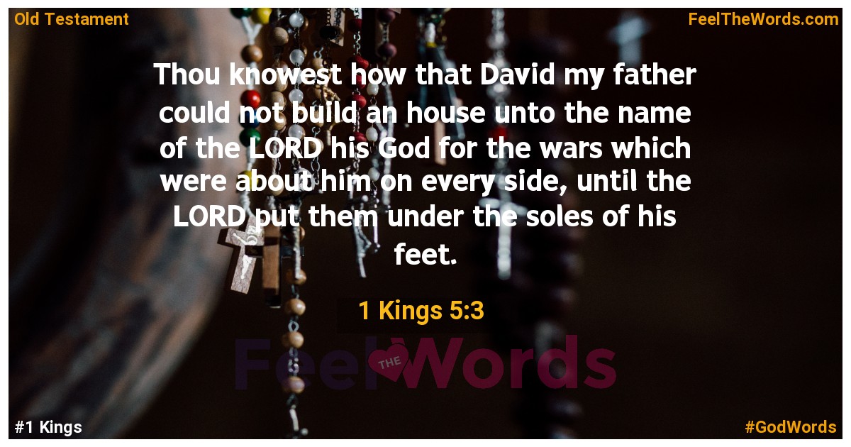 1 Kings 5:3