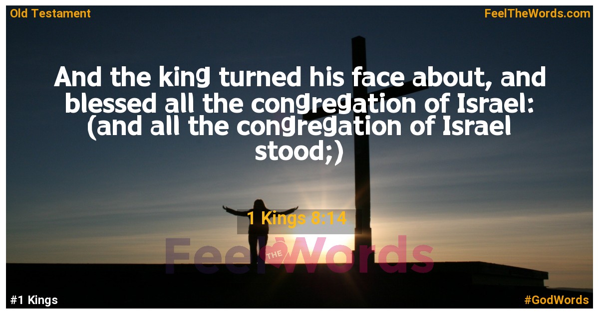 1 Kings 8:14