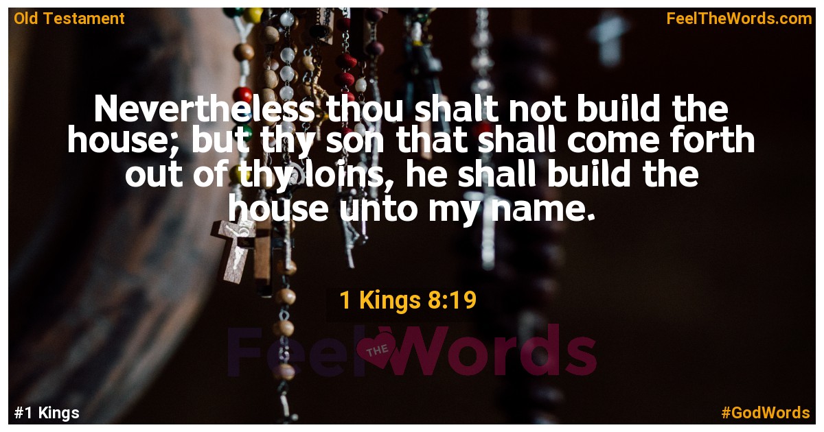 1 Kings 8:19