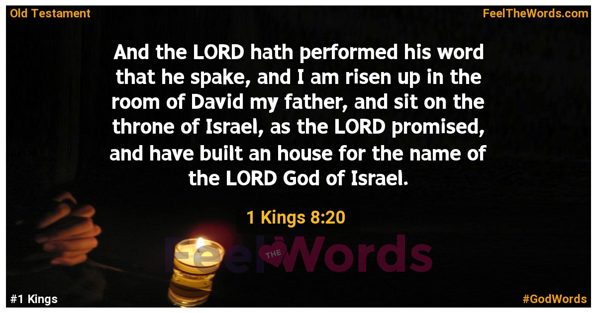 1 Kings 8:20