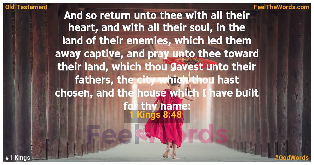 1 Kings 8:48