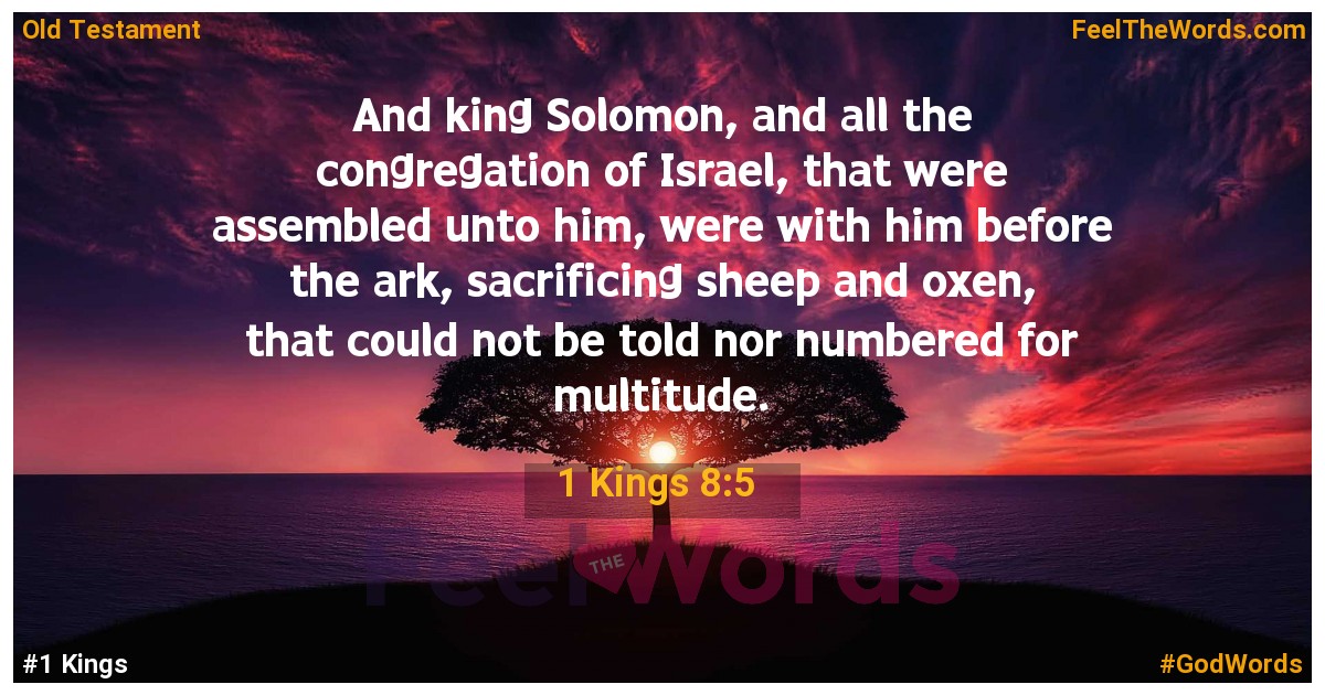 1 Kings 8:5