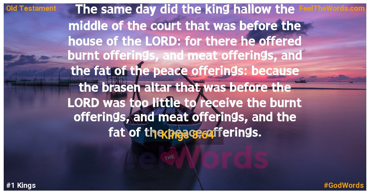 1 Kings 8:64