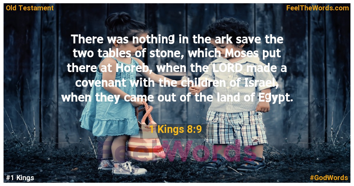 1 Kings 8:9