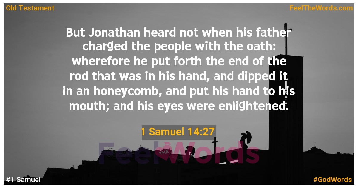 1 Samuel 14:27