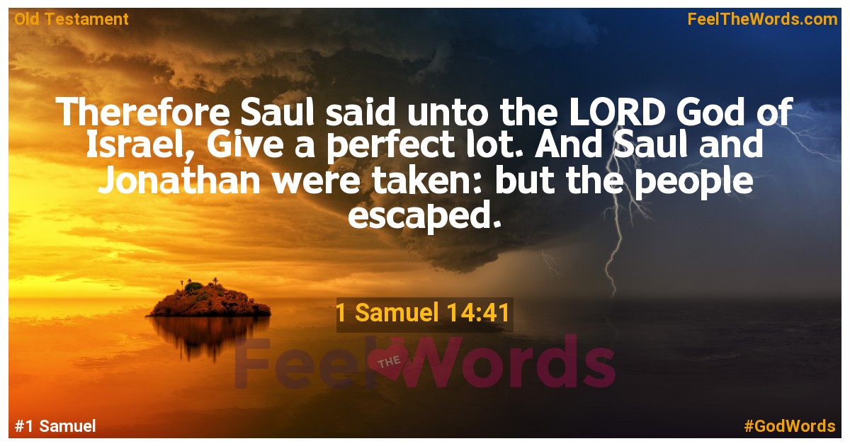 1 Samuel 14:41
