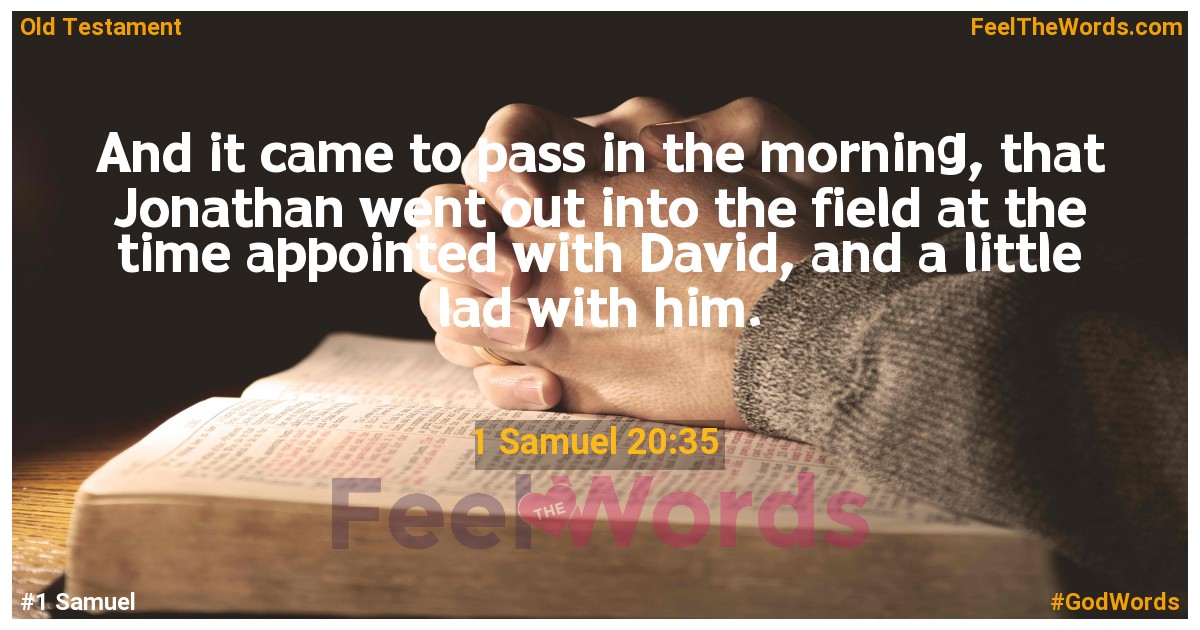 1 Samuel 20:35