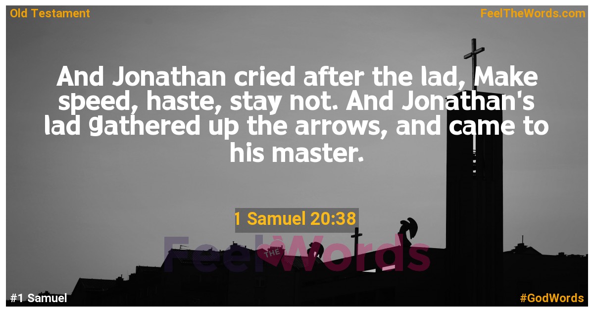 1 Samuel 20:38