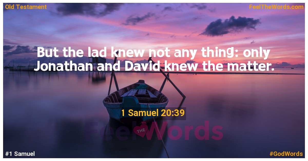 1 Samuel 20:39