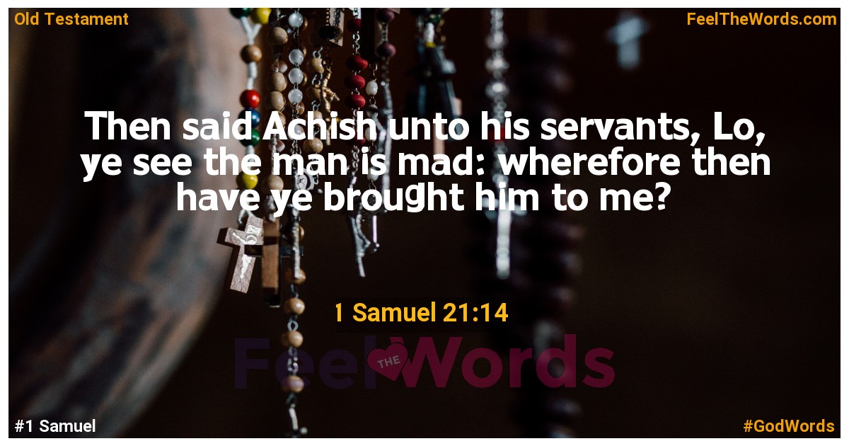 1 Samuel 21:14