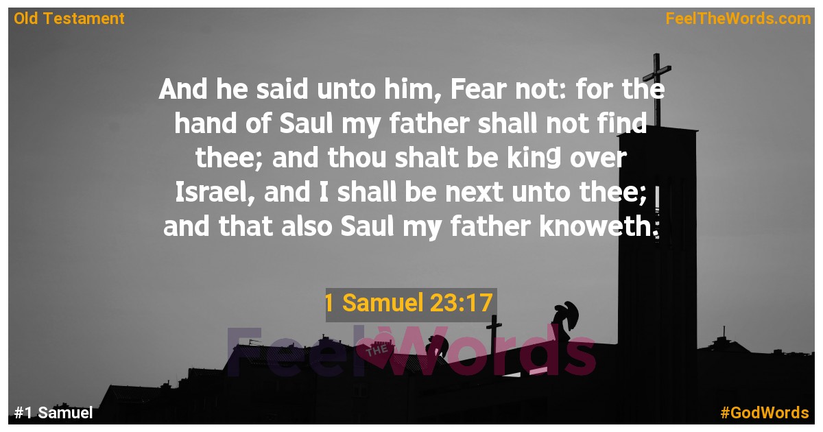 1 Samuel 23:17