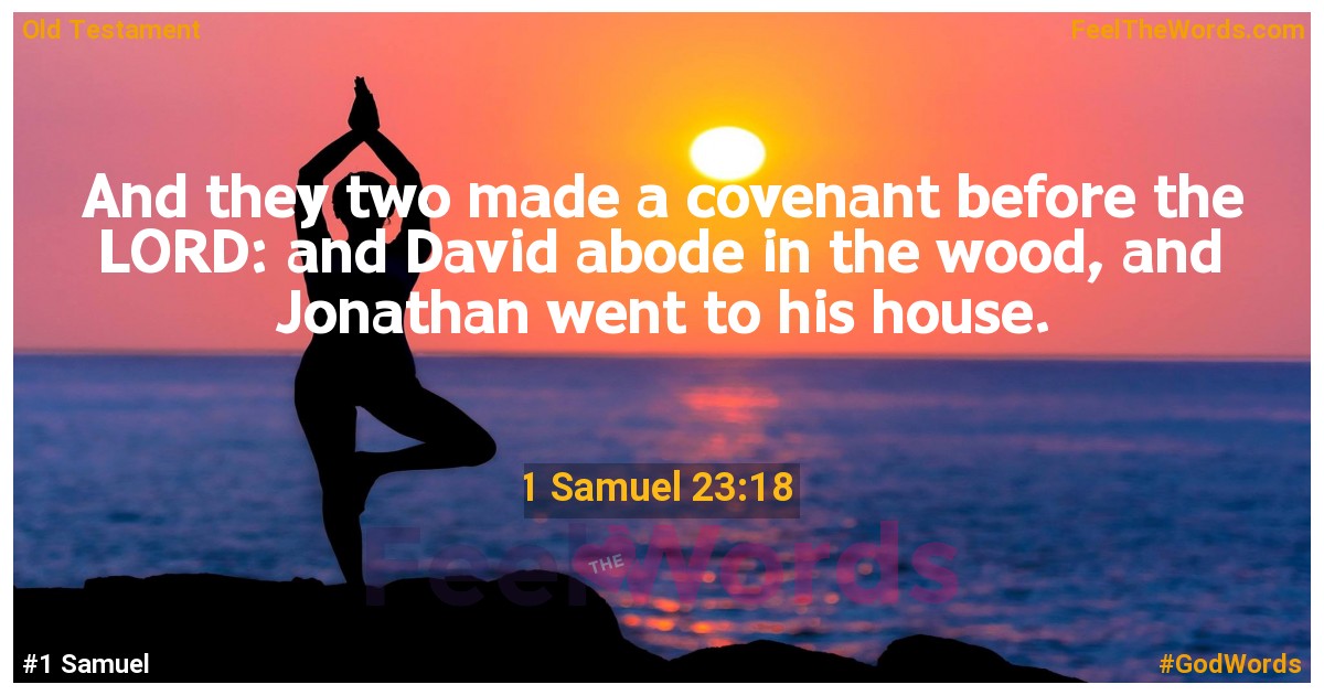 1 Samuel 23:18