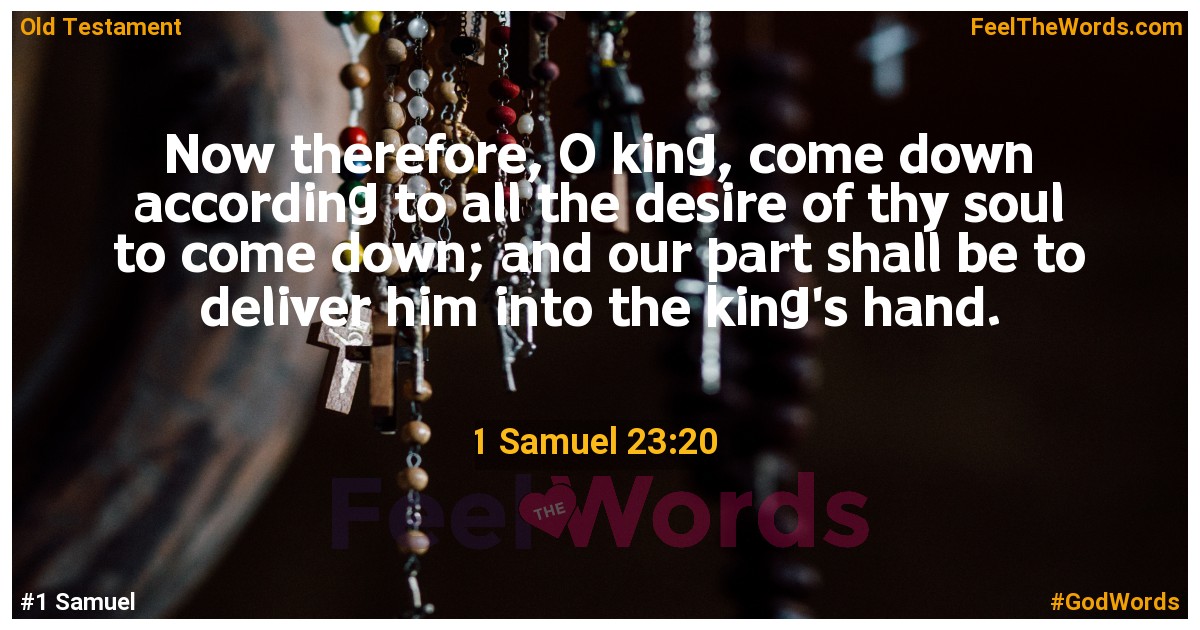 1 Samuel 23:20