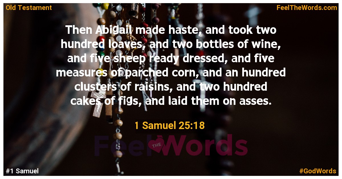 1 Samuel 25:18