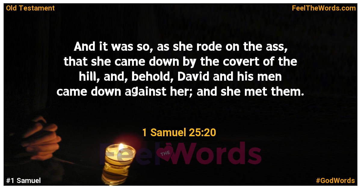 1 Samuel 25:20