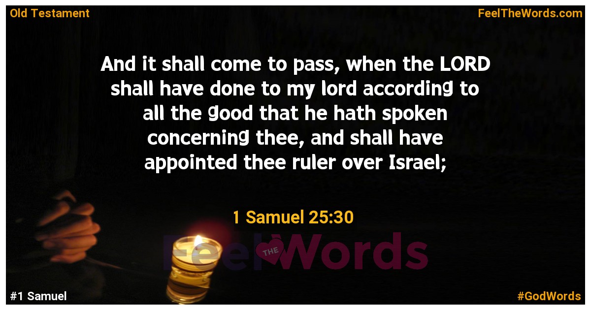 1 Samuel 25:30
