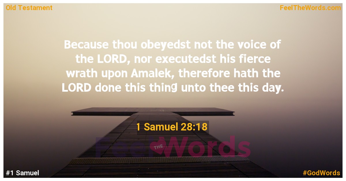 1 Samuel 28:18