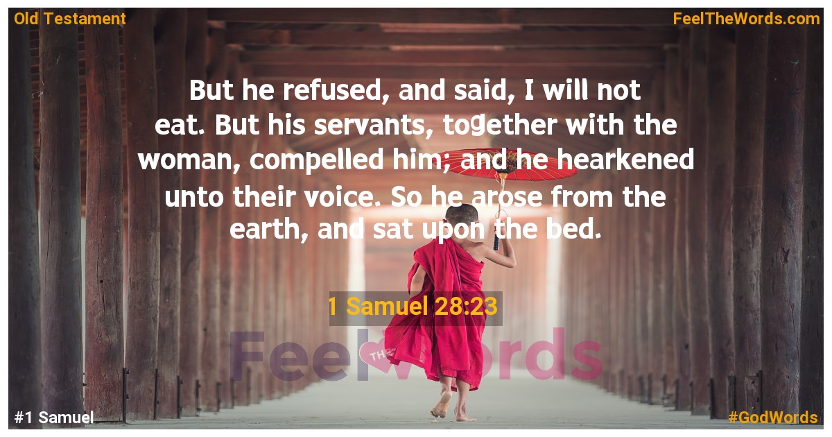 1 Samuel 28:23