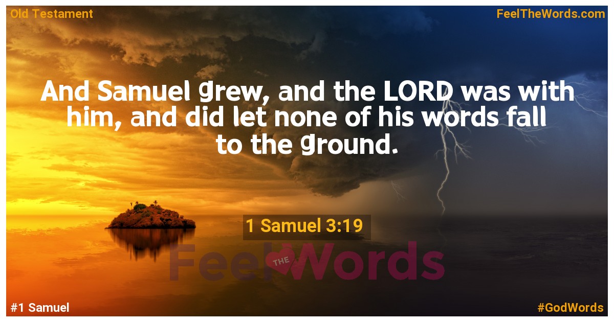 1 Samuel 3:19