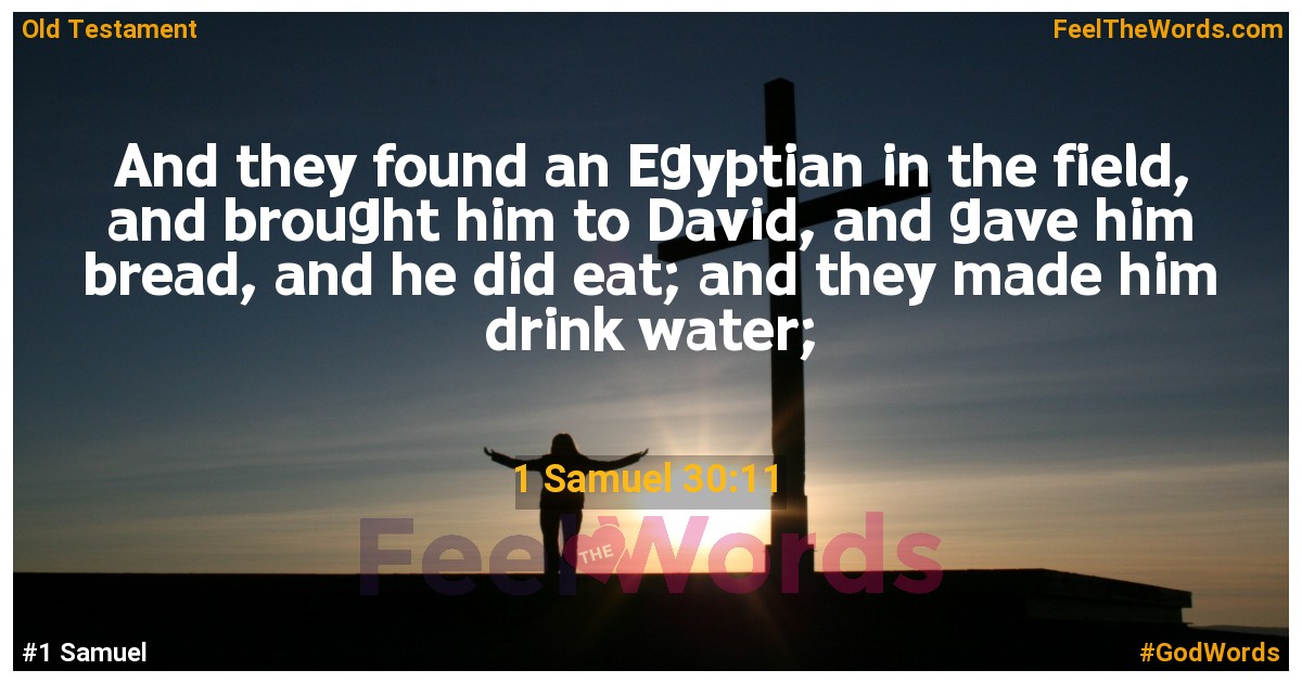 1 Samuel 30:11