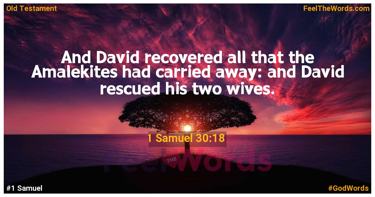 1 Samuel 30:18