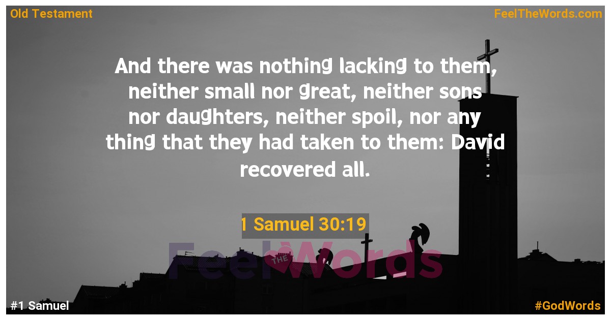 1 Samuel 30:19