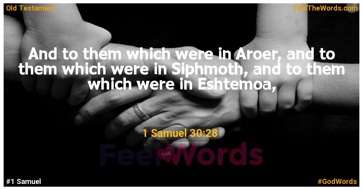 1 Samuel 30:28