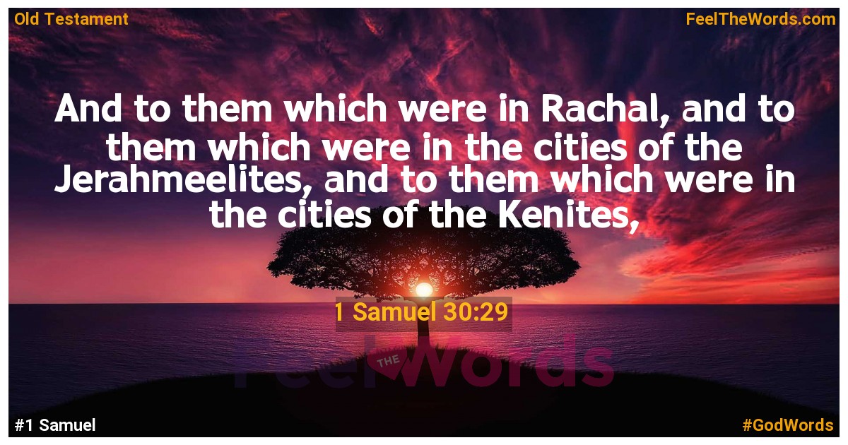 1 Samuel 30:29