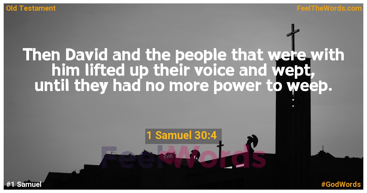 1 Samuel 30:4