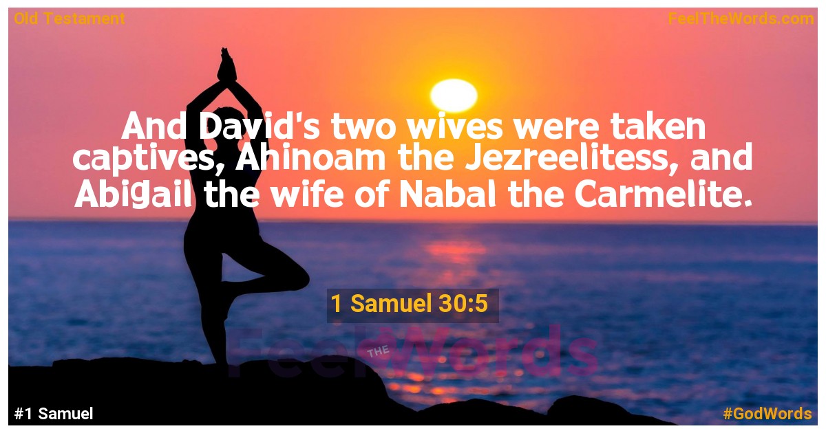 1 Samuel 30:5