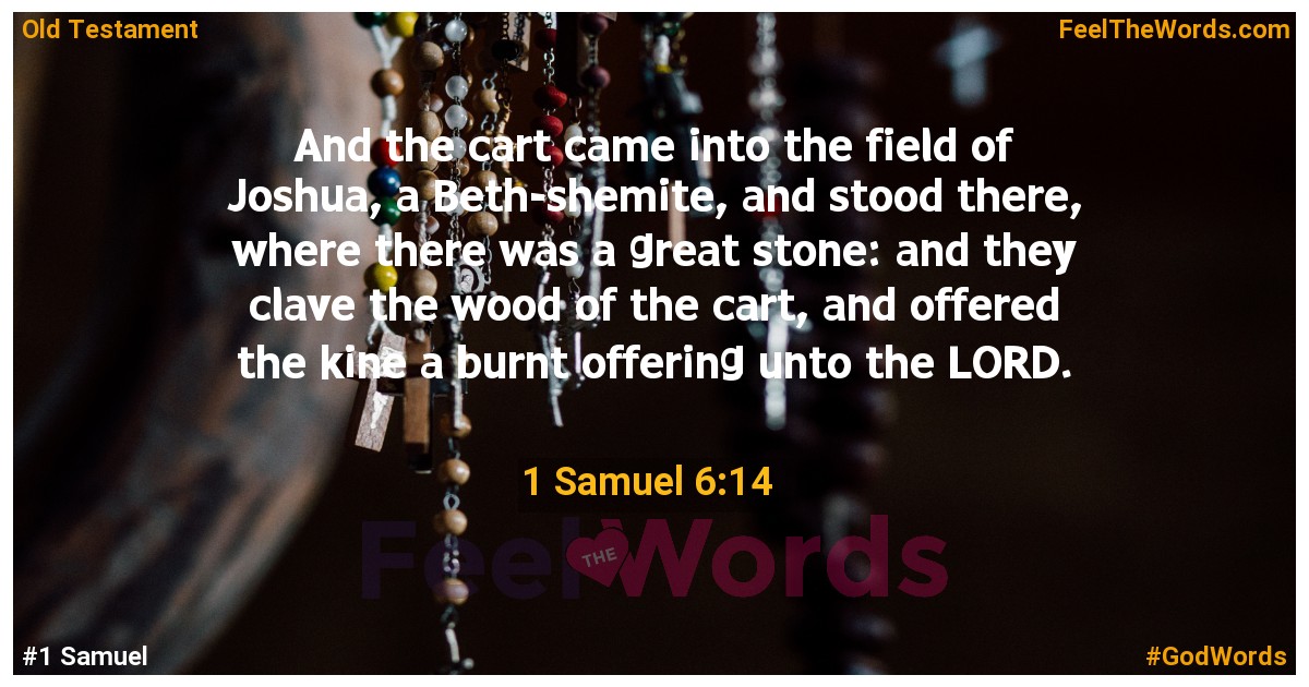 1 Samuel 6:14