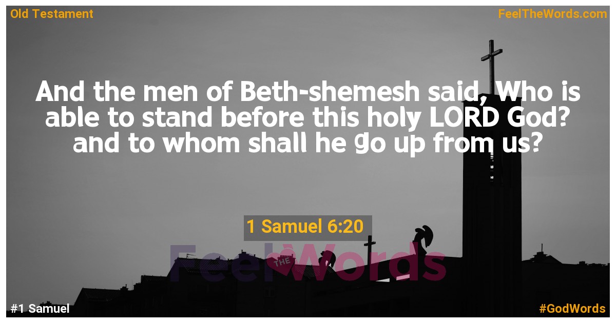 1 Samuel 6:20