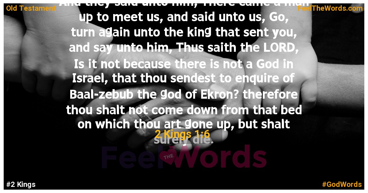 2 Kings 1:6