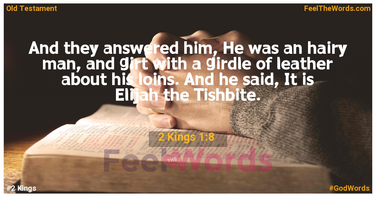 2 Kings 1:8