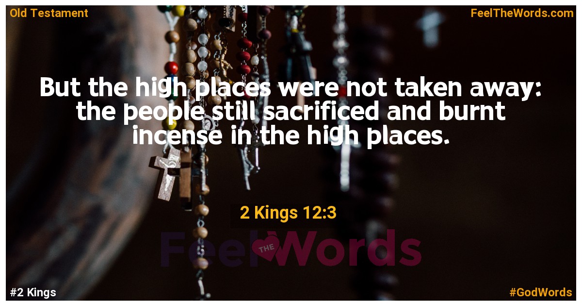 2 Kings 12:3