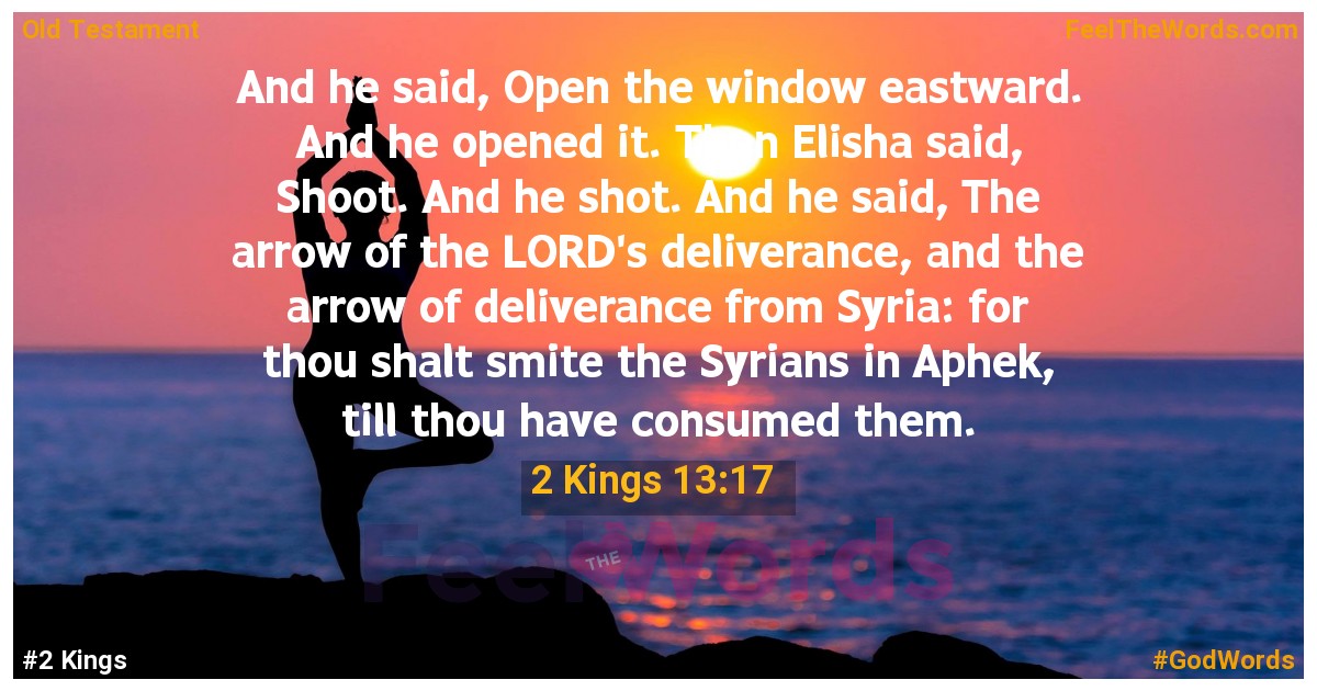 2 Kings 13:17
