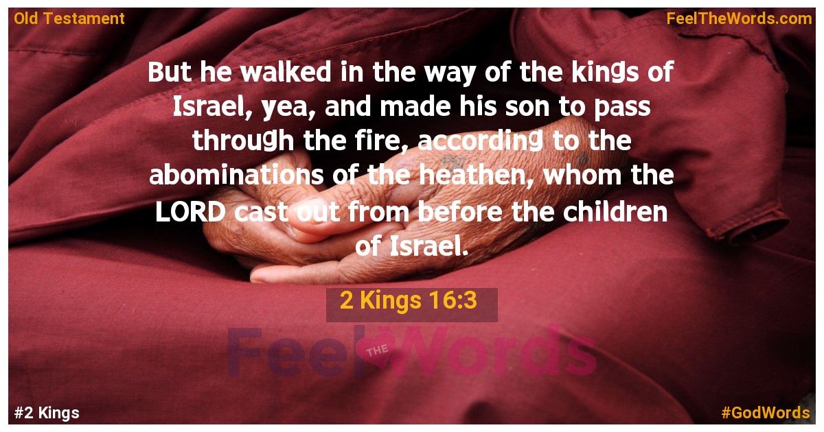 2 Kings 16:3