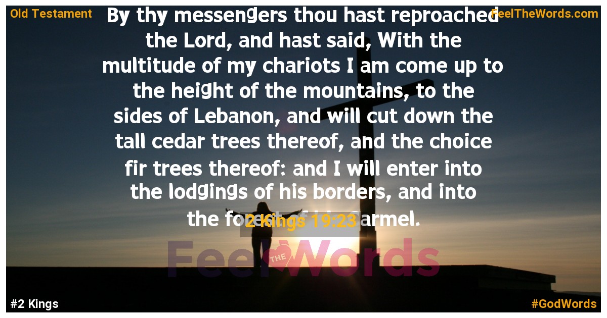 2 Kings 19:23