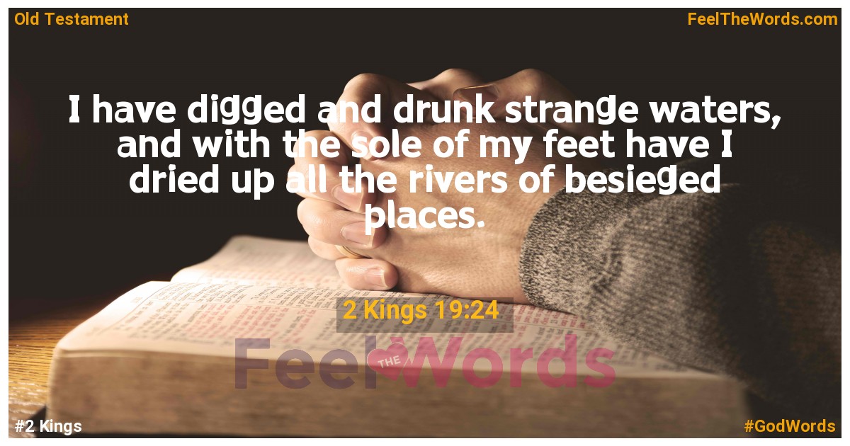 2 Kings 19:24