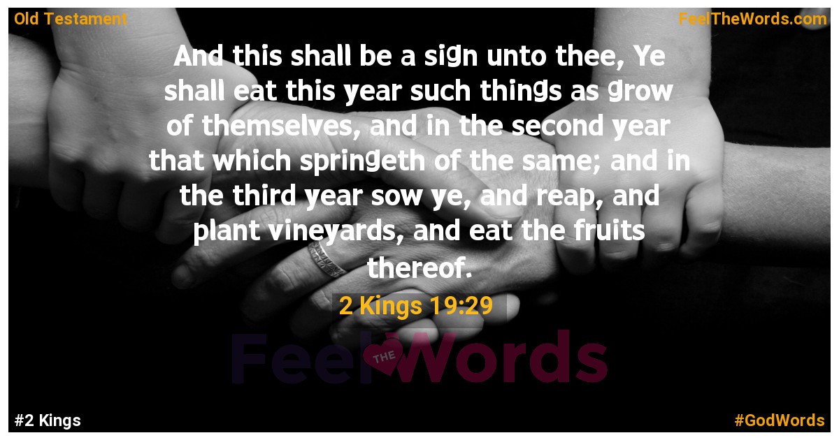 2 Kings 19:29