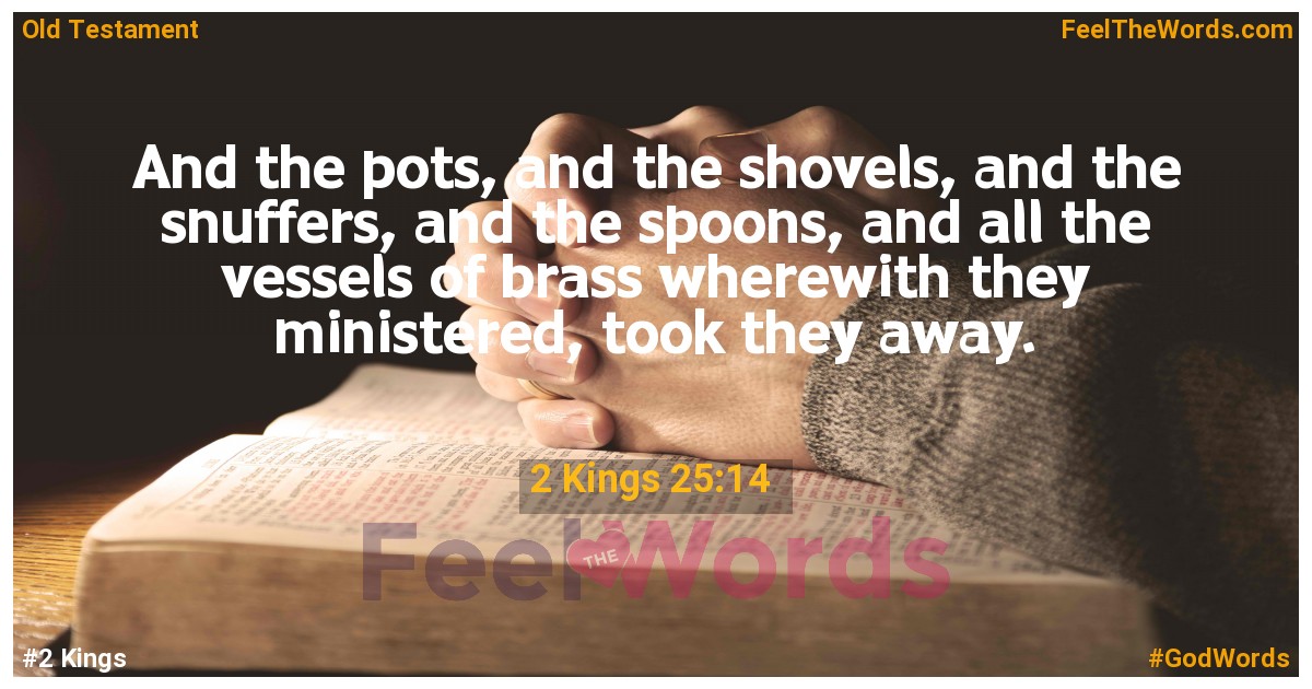 2 Kings 25:14