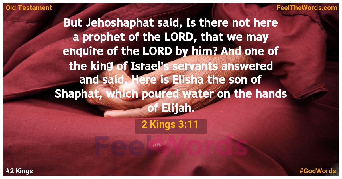 2 Kings 3:11