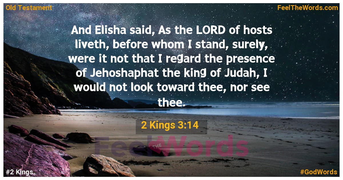 2 Kings 3:14