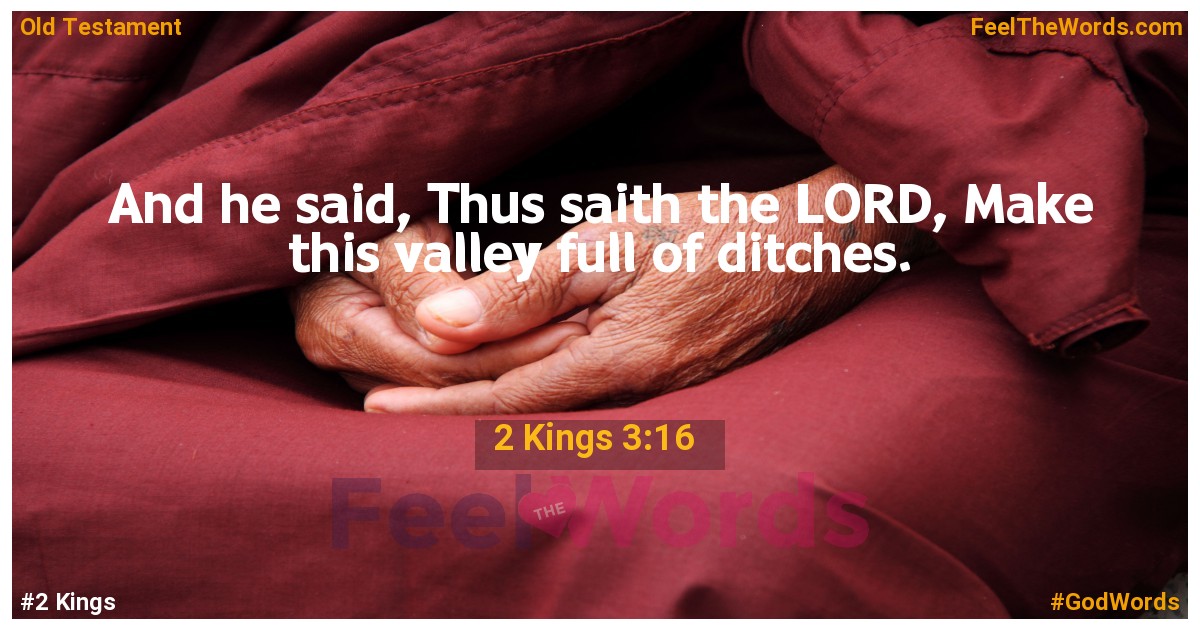 2 Kings 3:16