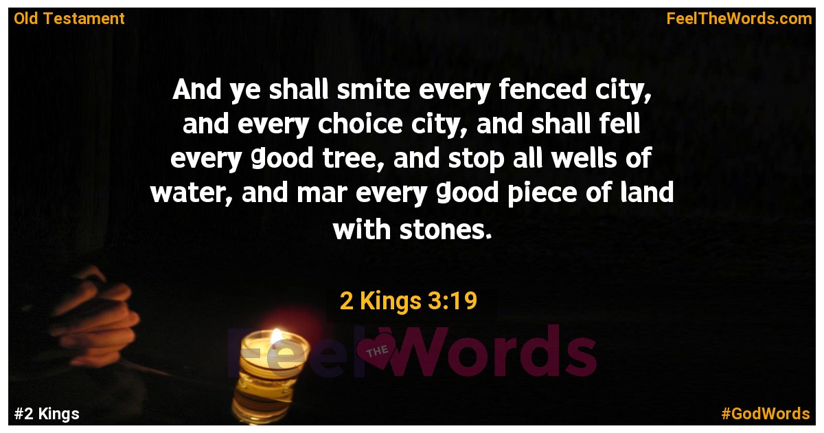 2 Kings 3:19