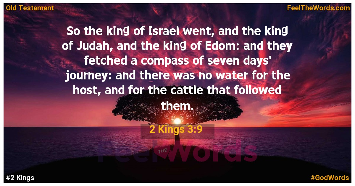 2 Kings 3:9
