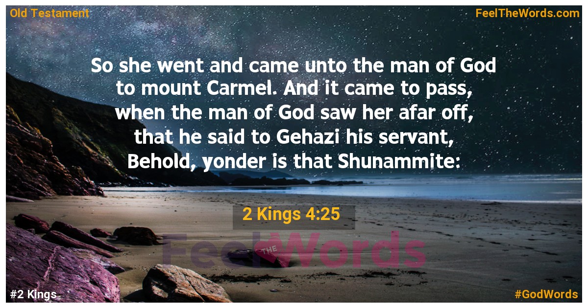 2 Kings 4:25