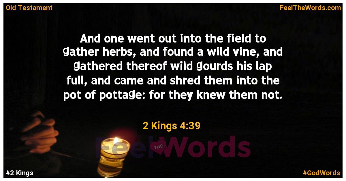 2 Kings 4:39