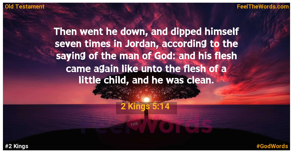 2 Kings 5:14