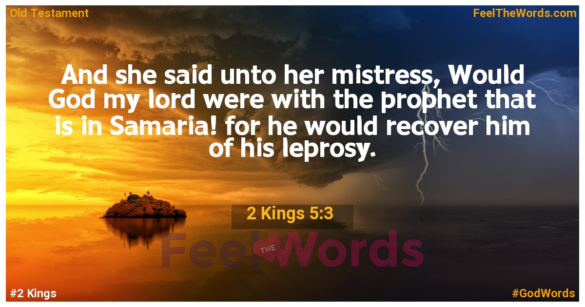 2 Kings 5:3